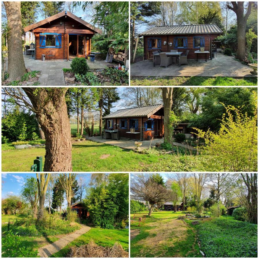 Velden Art, Bed & Breakfast מראה חיצוני תמונה